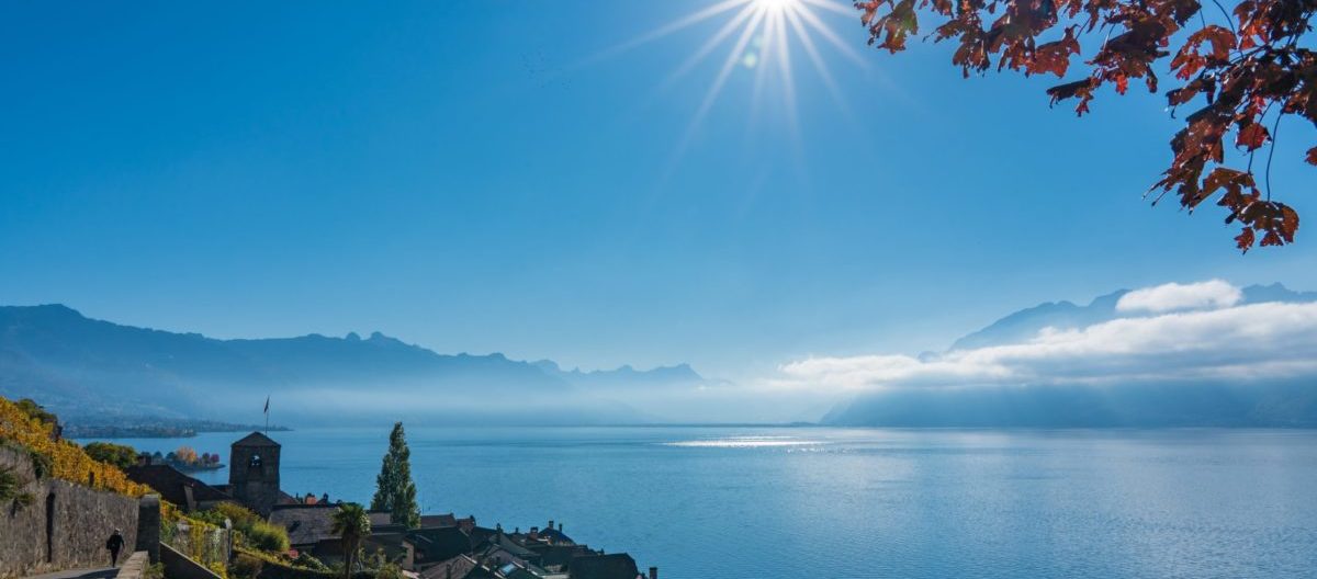 Genfersee Lavaux Genfersee Lavaux